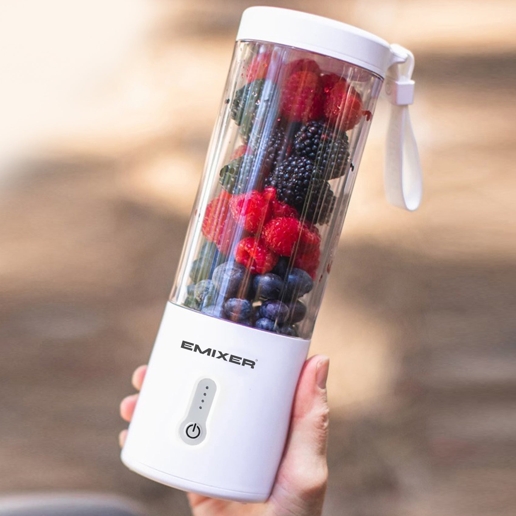 Mixer Portabil 
